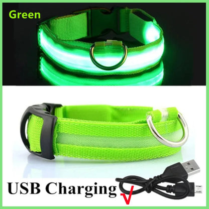 USB Rechargeable Luminous Collar Adjustable Led Glowing Dog Collar for Large Small Dogs