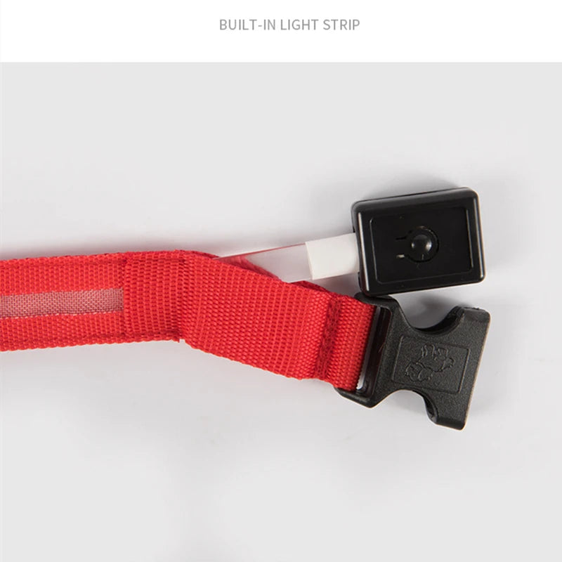 USB Rechargeable Luminous Collar Adjustable Led Glowing Dog Collar for Large Small Dogs