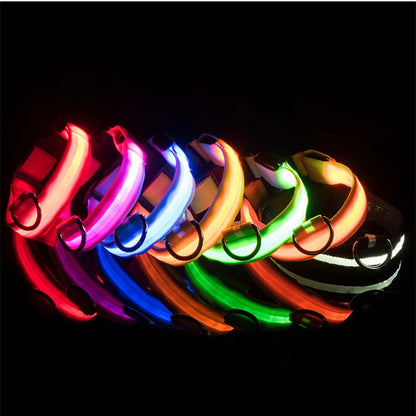 USB Rechargeable Luminous Collar Adjustable Led Glowing Dog Collar for Large Small Dogs