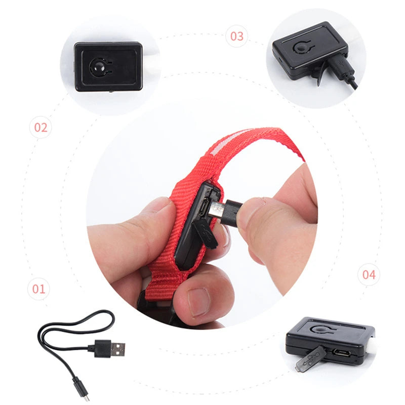 USB Rechargeable Luminous Collar Adjustable Led Glowing Dog Collar for Large Small Dogs