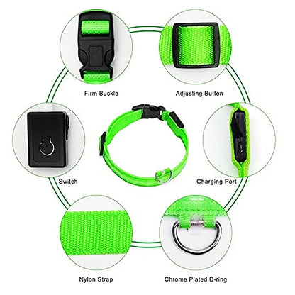 USB Rechargeable Luminous Collar Adjustable Led Glowing Dog Collar for Large Small Dogs