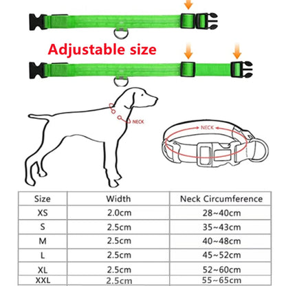 USB Rechargeable Luminous Collar Adjustable Led Glowing Dog Collar for Large Small Dogs