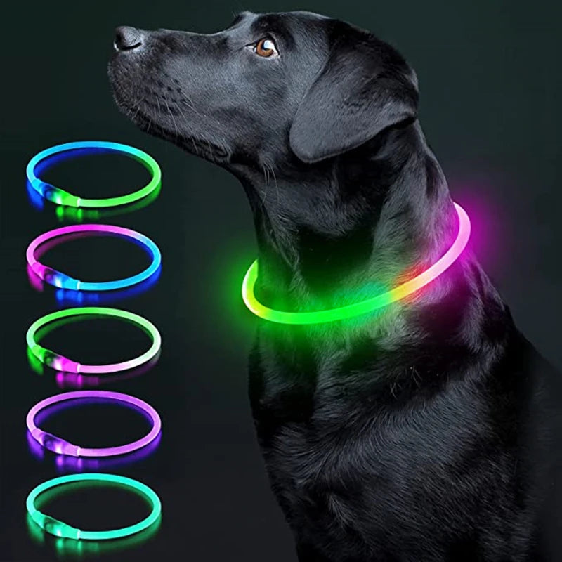 USB Rechargeable Luminous Collar Adjustable Led Glowing Dog Collar for Large Small Dogs