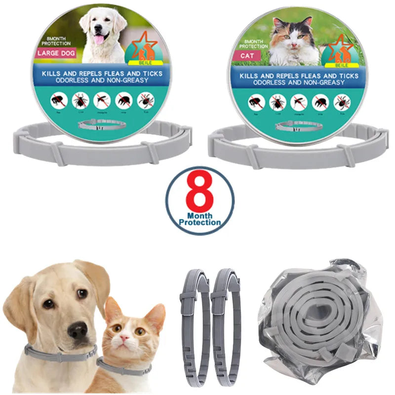 USB Rechargeable Luminous Collar Adjustable Led Glowing Dog Collar for Large Small Dogs
