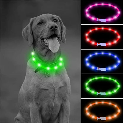 USB Rechargeable Luminous Collar Adjustable Led Glowing Dog Collar for Large Small Dogs