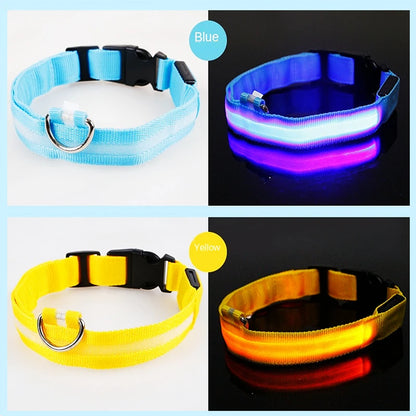 USB Rechargeable Luminous Collar Adjustable Led Glowing Dog Collar for Large Small Dogs