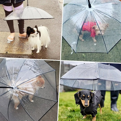 Dog Umbrella