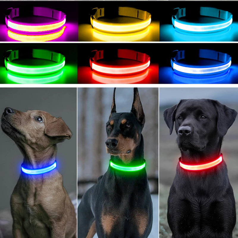 USB Rechargeable Luminous Collar Adjustable Led Glowing Dog Collar for Large Small Dogs