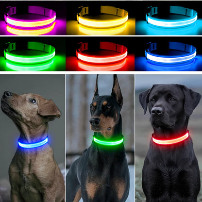 USB Rechargeable Luminous Collar Adjustable Led Glowing Dog Collar for Large Small Dogs