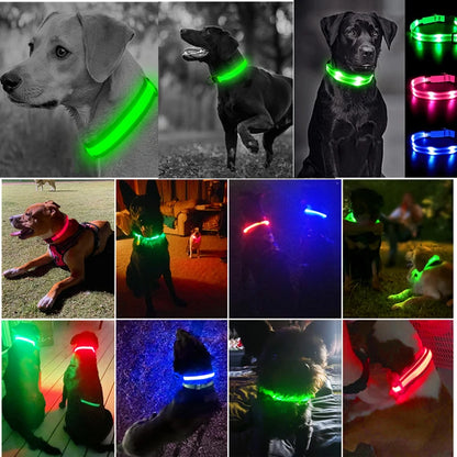 USB Rechargeable Luminous Collar Adjustable Led Glowing Dog Collar for Large Small Dogs