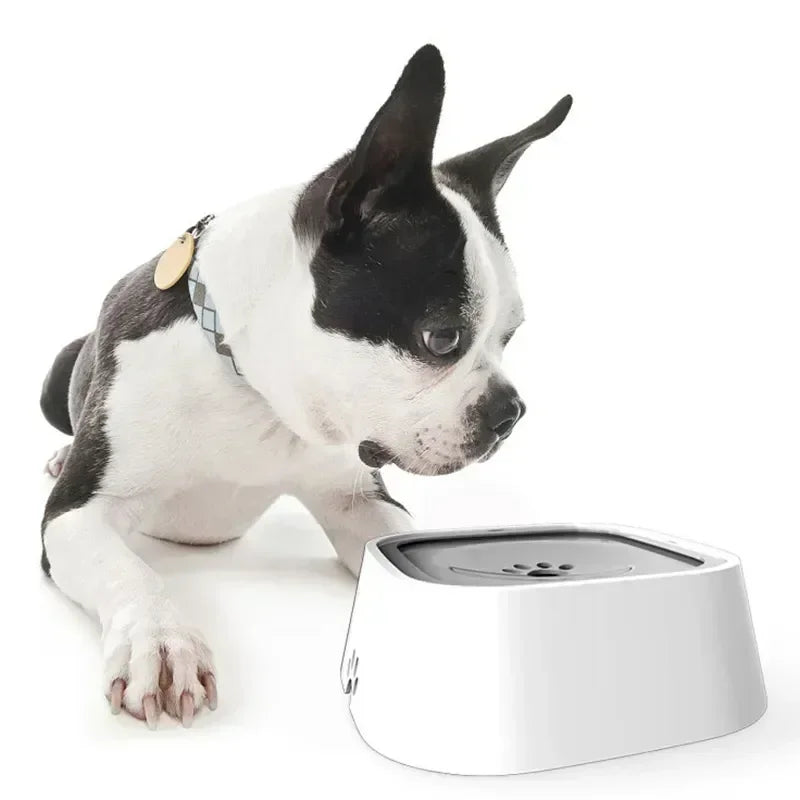 Drinking Water Bowl Floating Design For Dogs