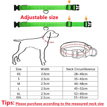 USB Rechargeable Luminous Collar Adjustable Led Glowing Dog Collar for Large Small Dogs