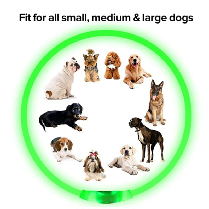 USB Rechargeable Luminous Collar Adjustable Led Glowing Dog Collar for Large Small Dogs