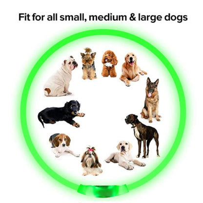 USB Rechargeable Luminous Collar Adjustable Led Glowing Dog Collar for Large Small Dogs